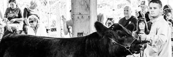 JacobWarnimont's profile banner image