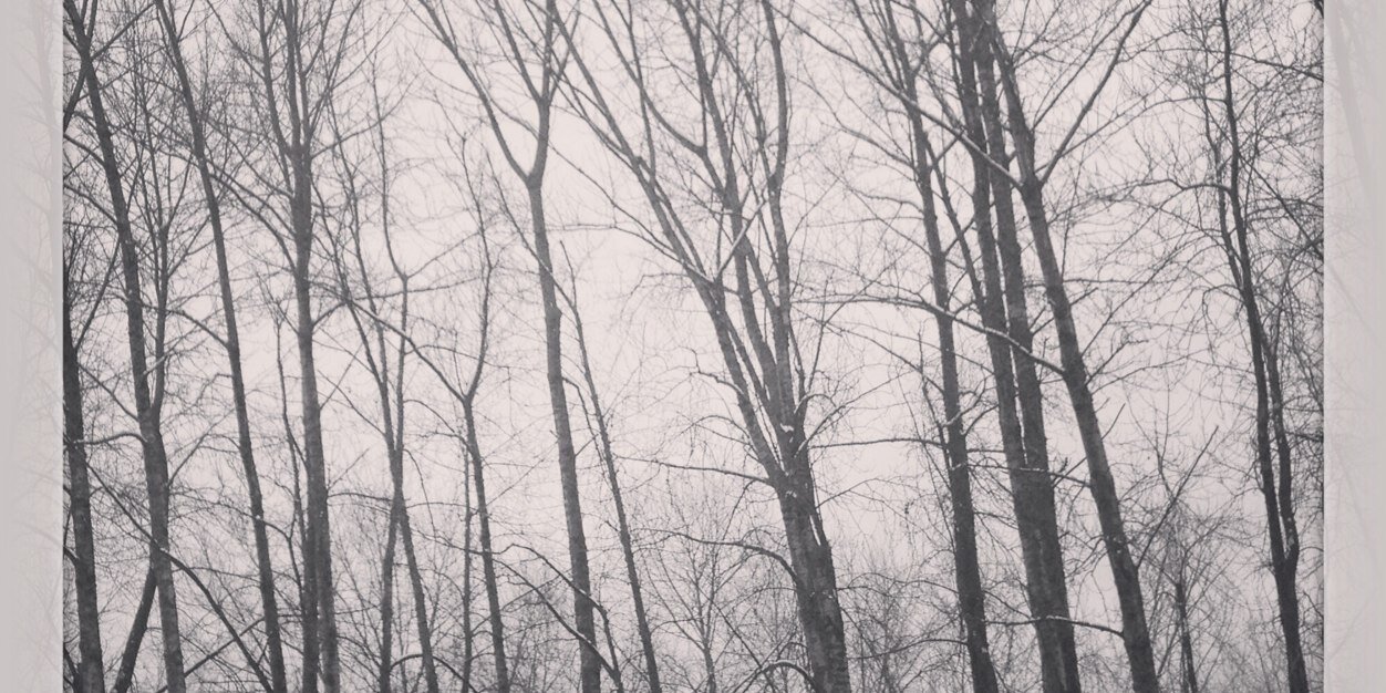 LuciShankland's profile banner image