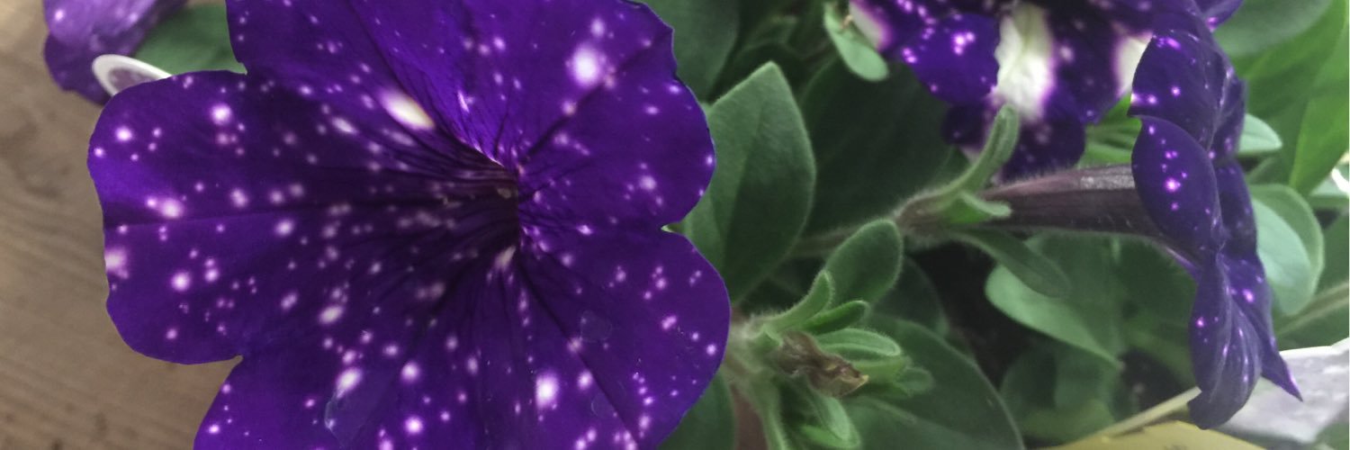 Alternativescap's profile banner image