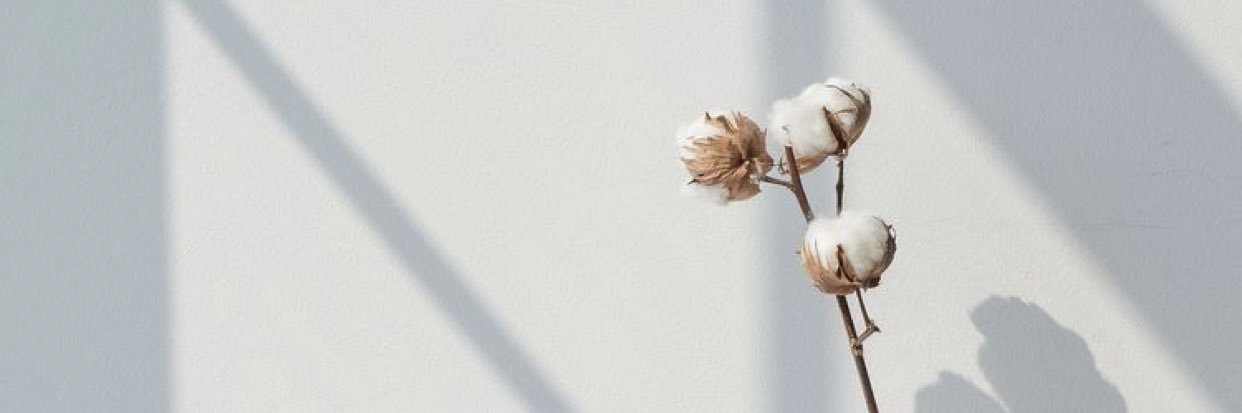 al7al31's profile banner image