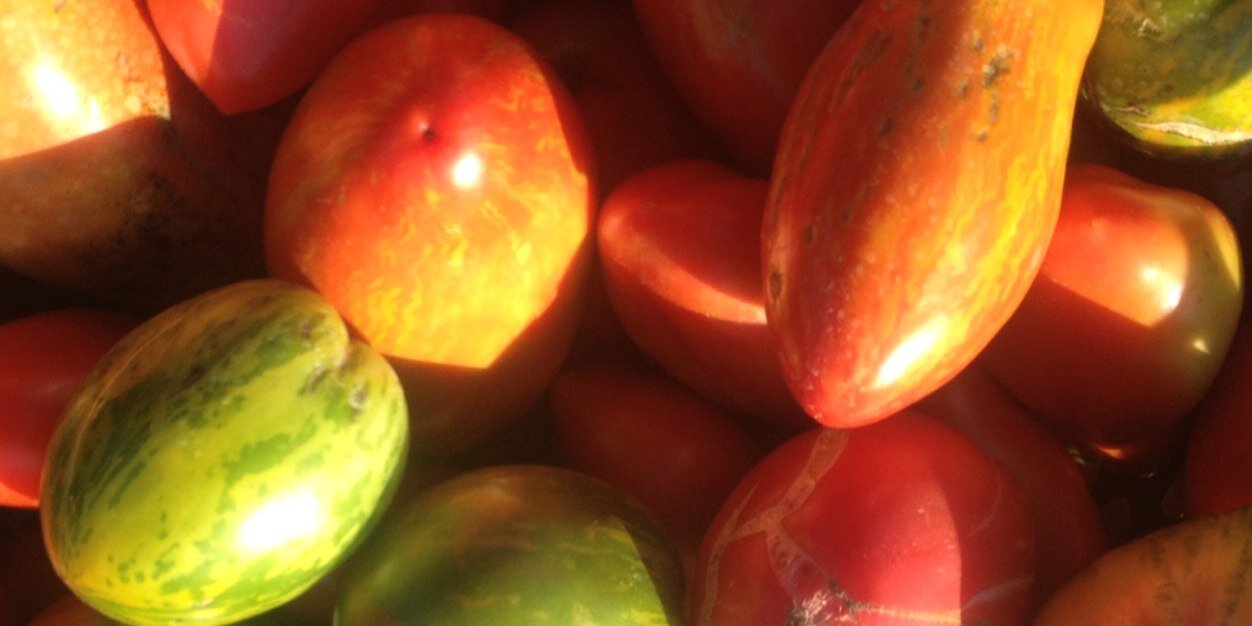 Roots to River Farm banner