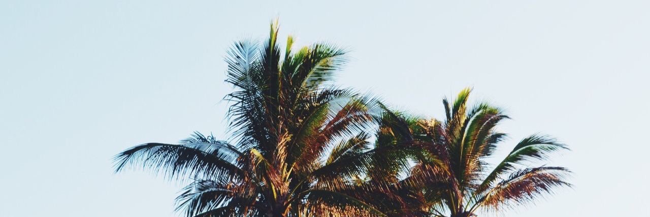 lexiegren's profile banner image