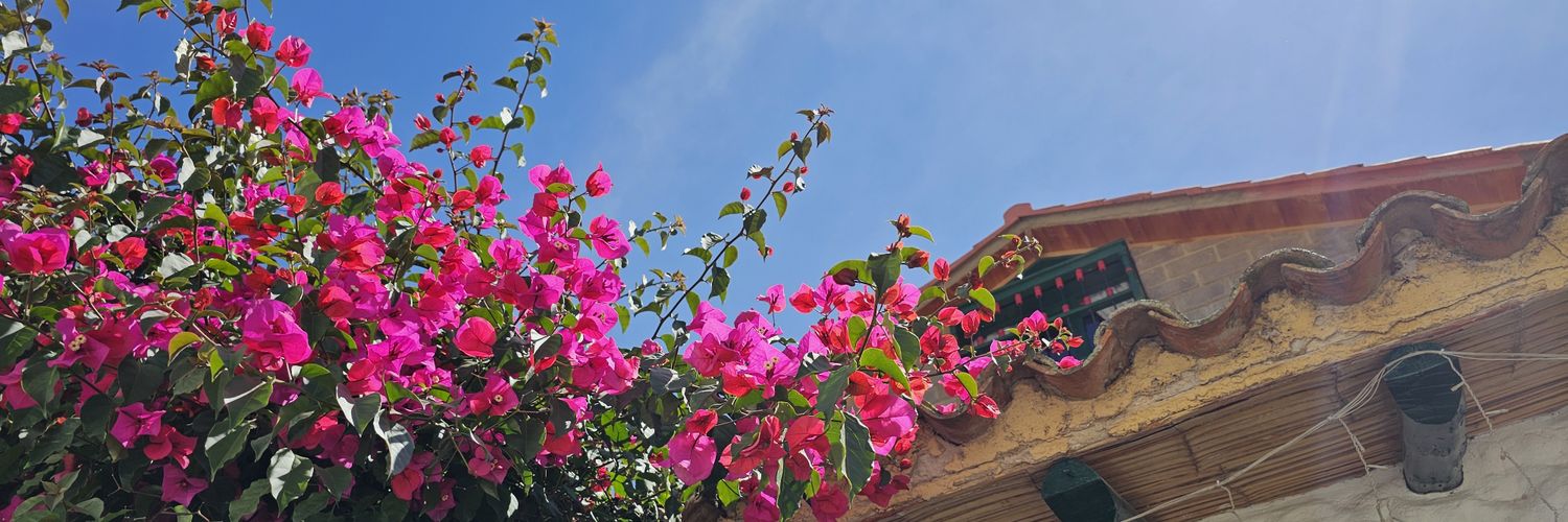 MaryCam21's profile banner image