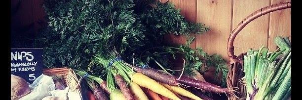 TheGastroNerd's profile banner image