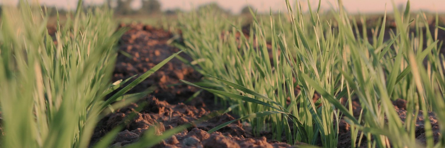 SaskBarley's profile banner image