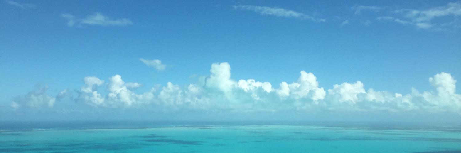 young_dsy's profile banner image