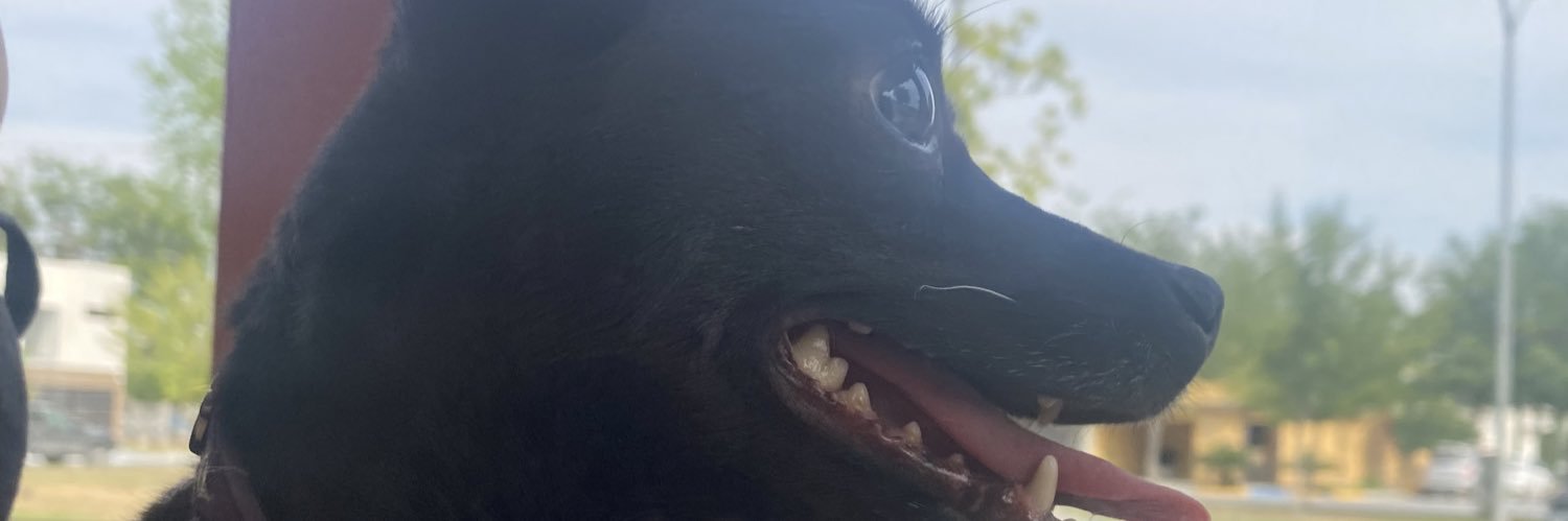 DanielObregn4's profile banner image