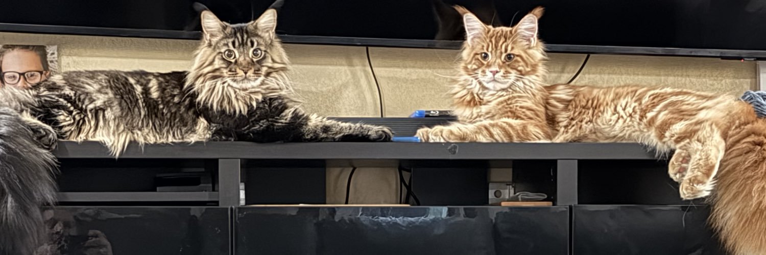 Flynnjutsu's profile banner image