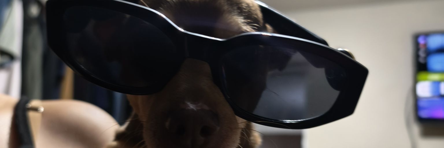 🌟 Isaac Uribe 🌟 banner