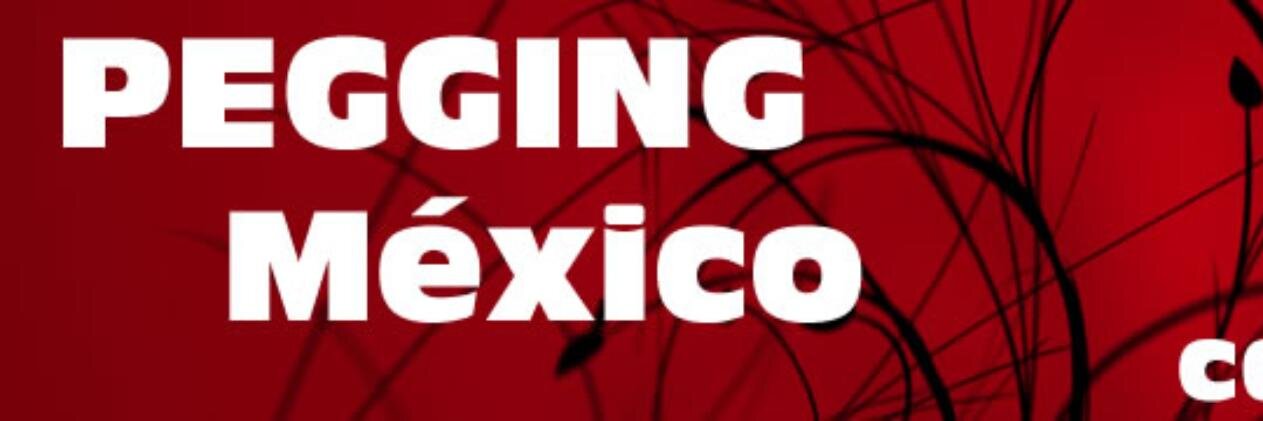 peggingmx's profile banner image