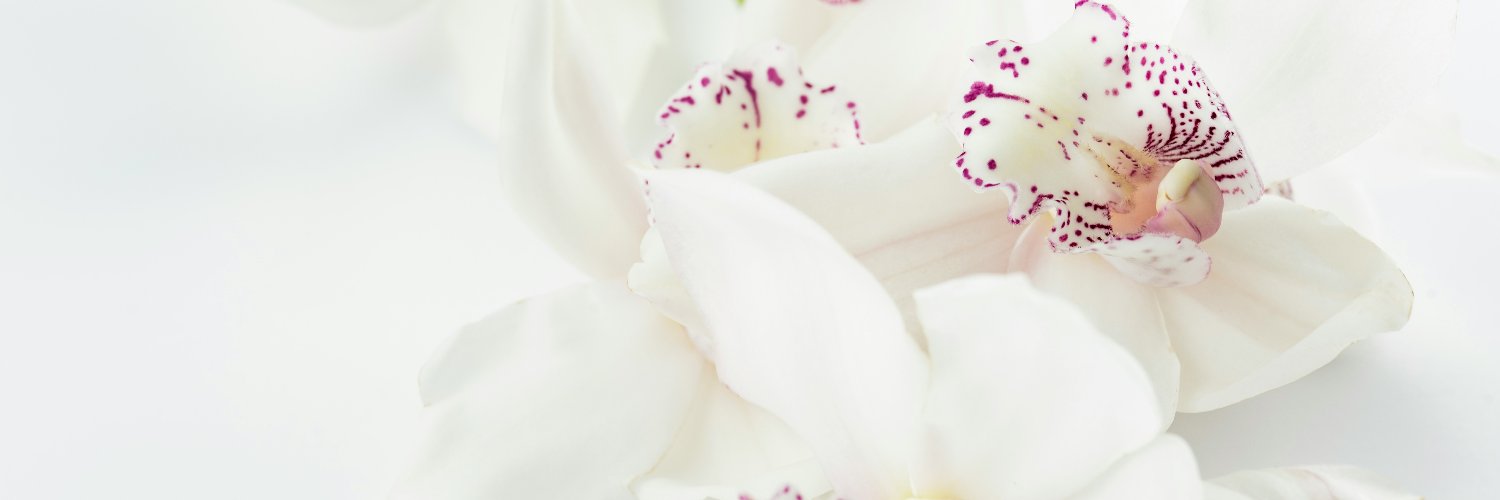 💐 Raquel Herrera banner