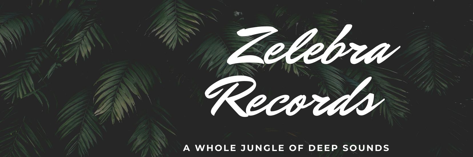 ZelebraRecords's profile banner image