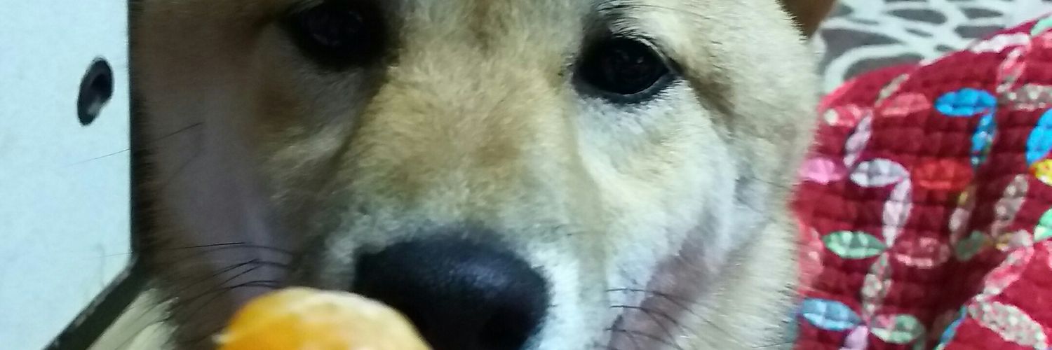 pippisan's profile banner image