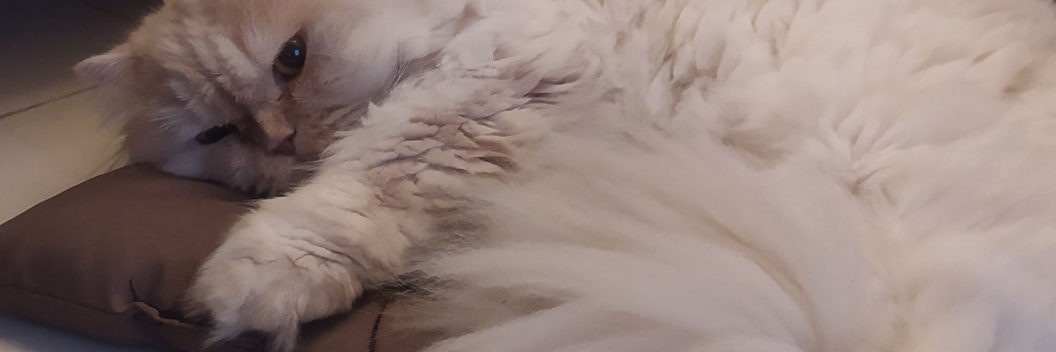 saeedjmd's profile banner image