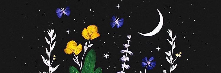 sofiamino__'s profile banner image