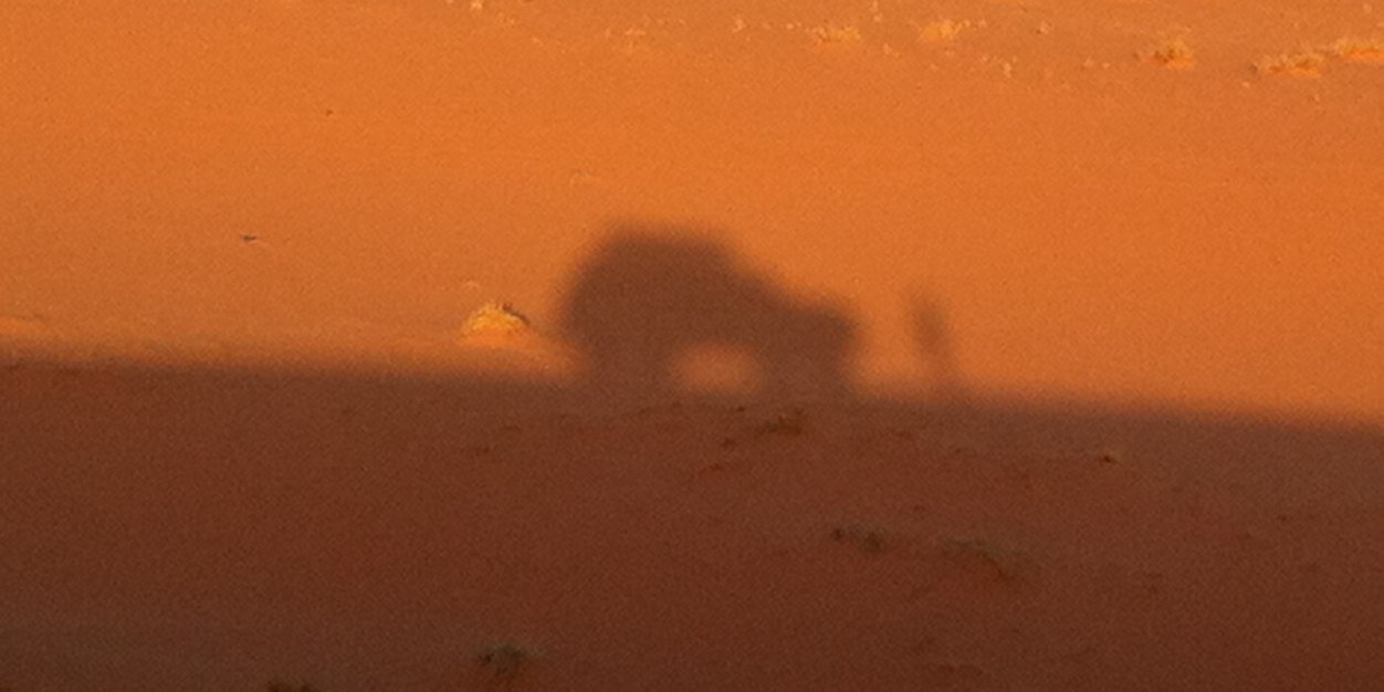 Algo1255's profile banner image