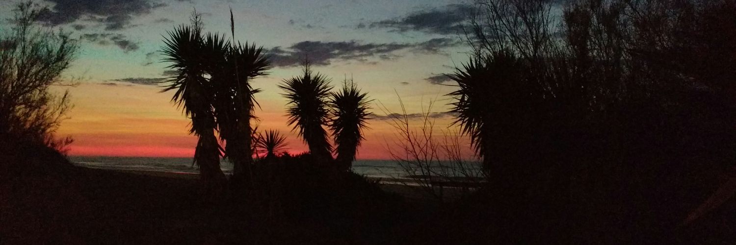 nicovg321's profile banner image