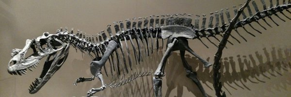 LizardManMeyer Profile Banner