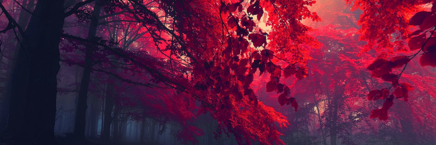 PureJayce's profile banner image