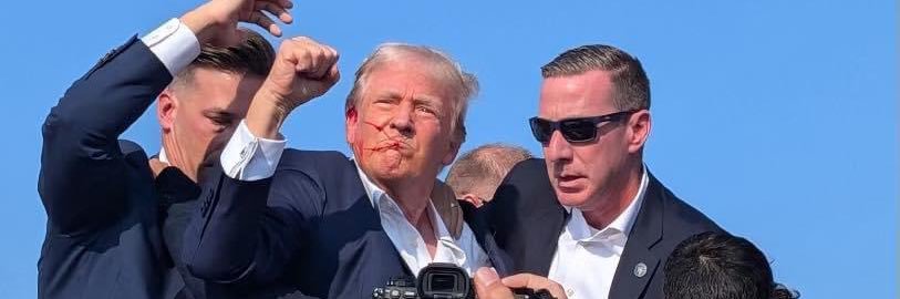 kaitdickerson's profile banner image