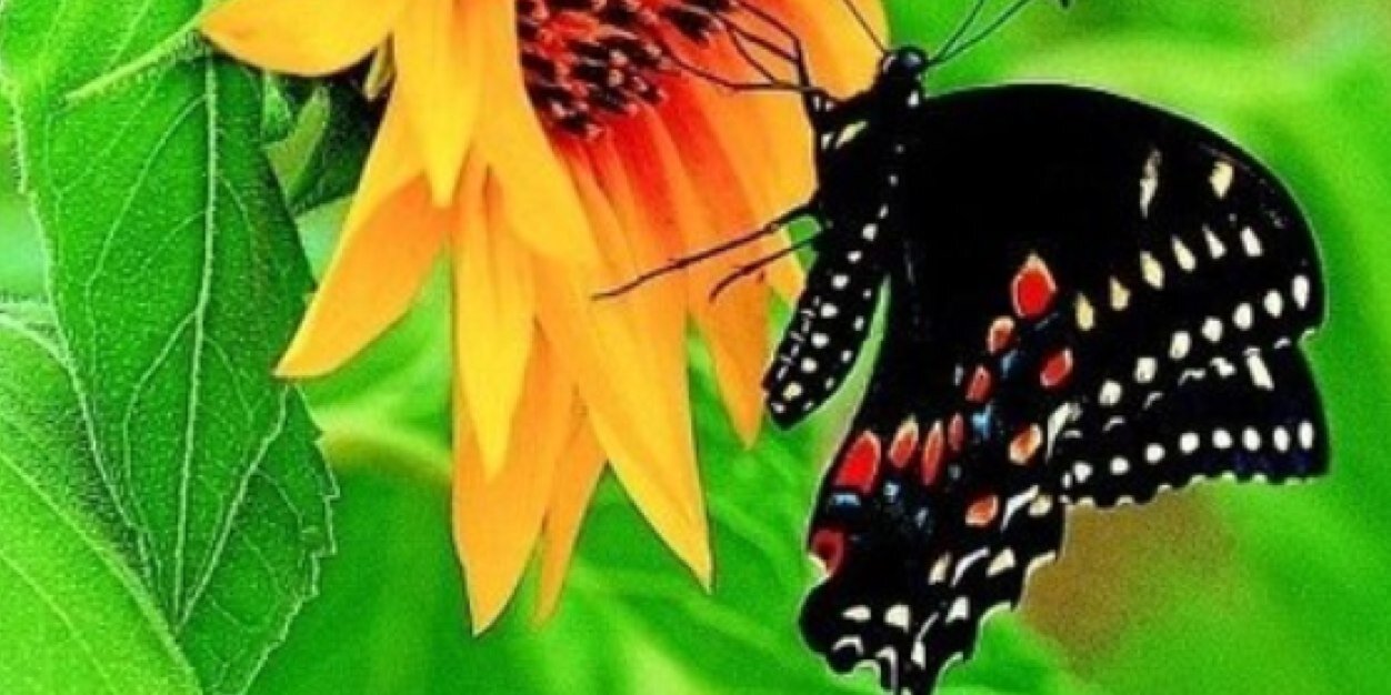 irfannadeem's profile banner image