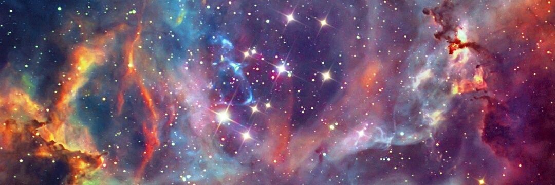 neindankenope's profile banner image