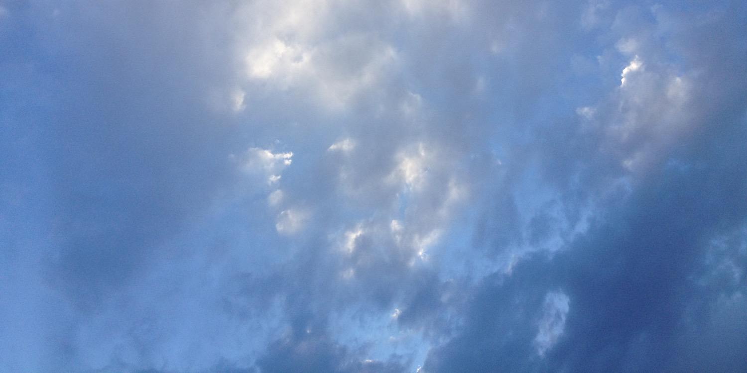 pamkly's profile banner image