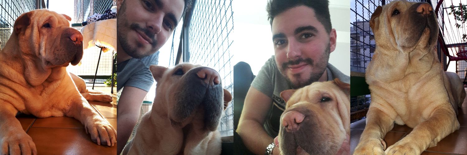 fraanto_'s profile banner image