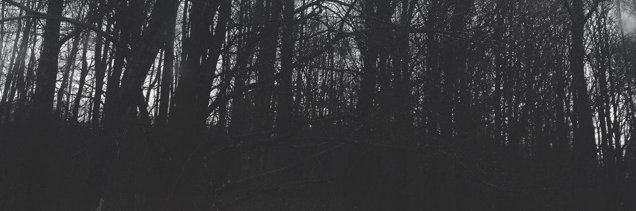 Amandadumpling's profile banner image