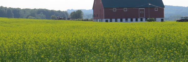 Lyonseed Profile Banner