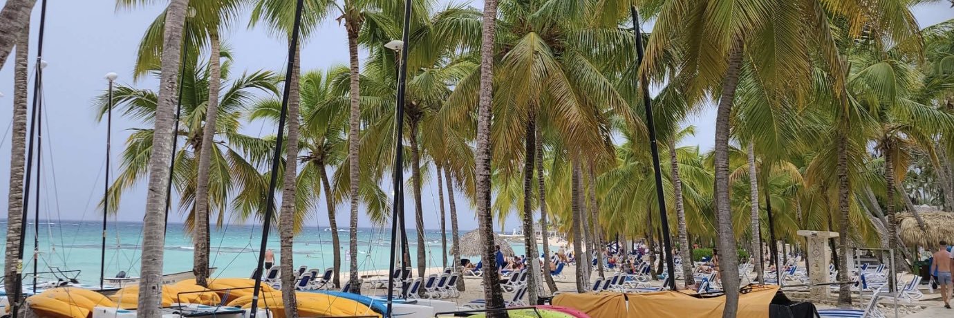 Traci Andreas banner