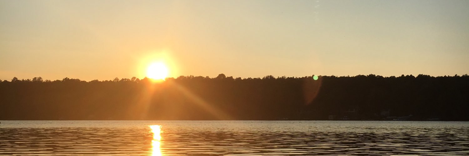 LucyVelicer's profile banner image