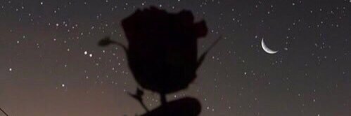 GabySevilla_'s profile banner image