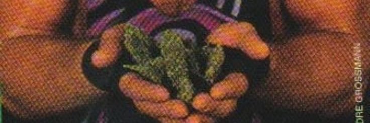calkristo's profile banner image