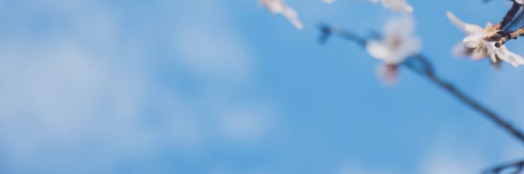 rainmaster99's profile banner image