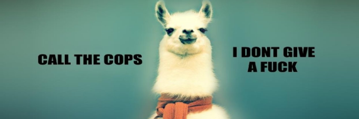 dano_bob's profile banner image