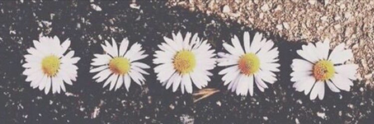 alexhasis's profile banner image