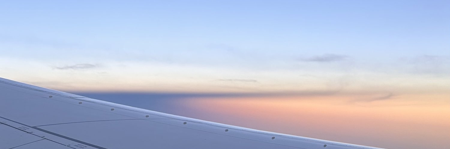 annerazevedo's profile banner image