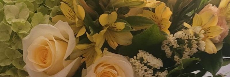 leahbelknap's profile banner image