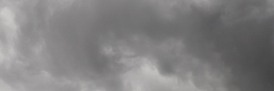 MaliahFries's profile banner image