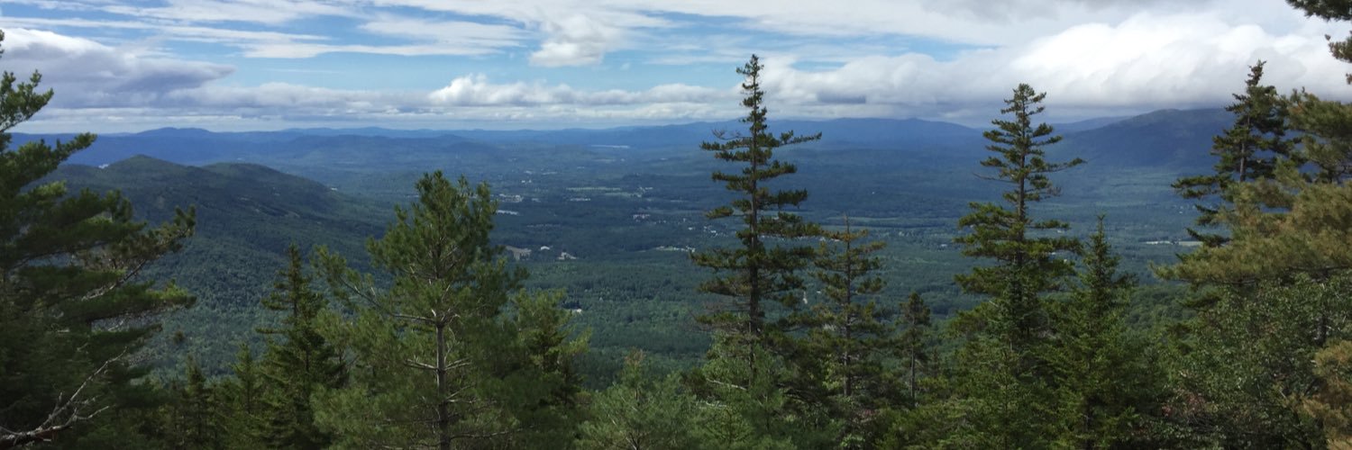 India Sleeper banner