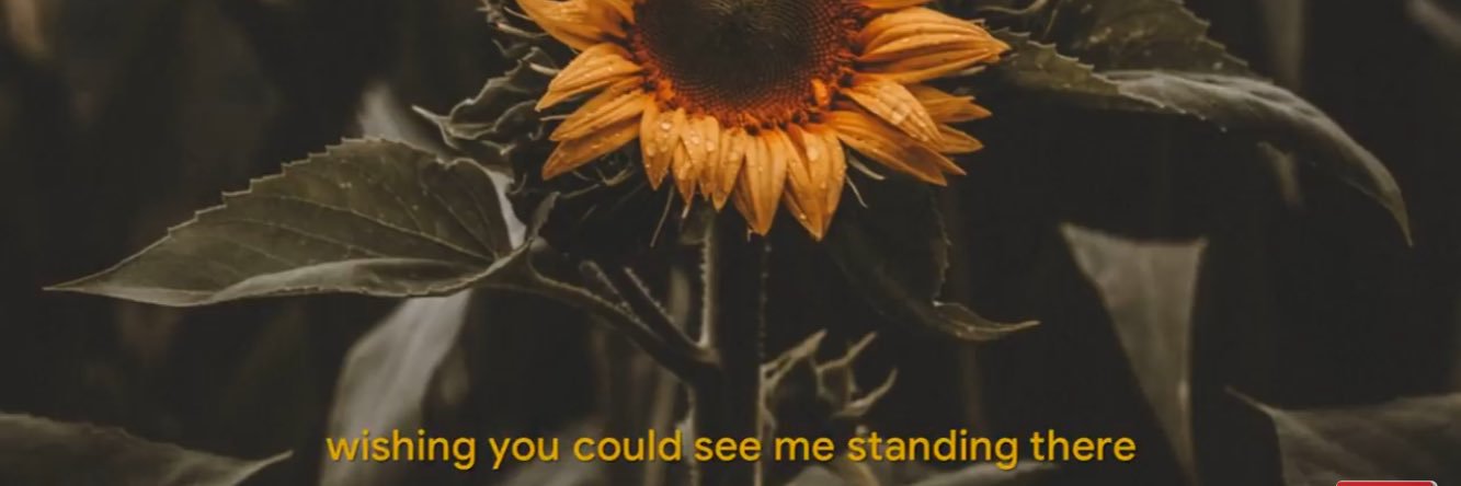 🌻 banner