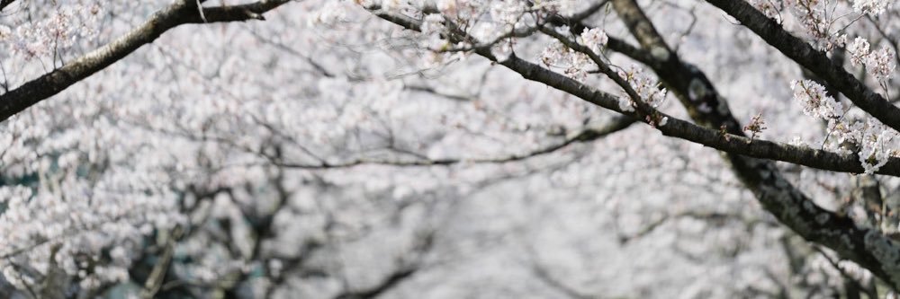kety21134's profile banner image