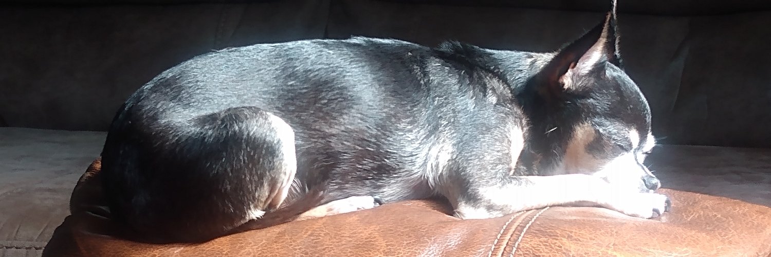 Karen Hawkins banner