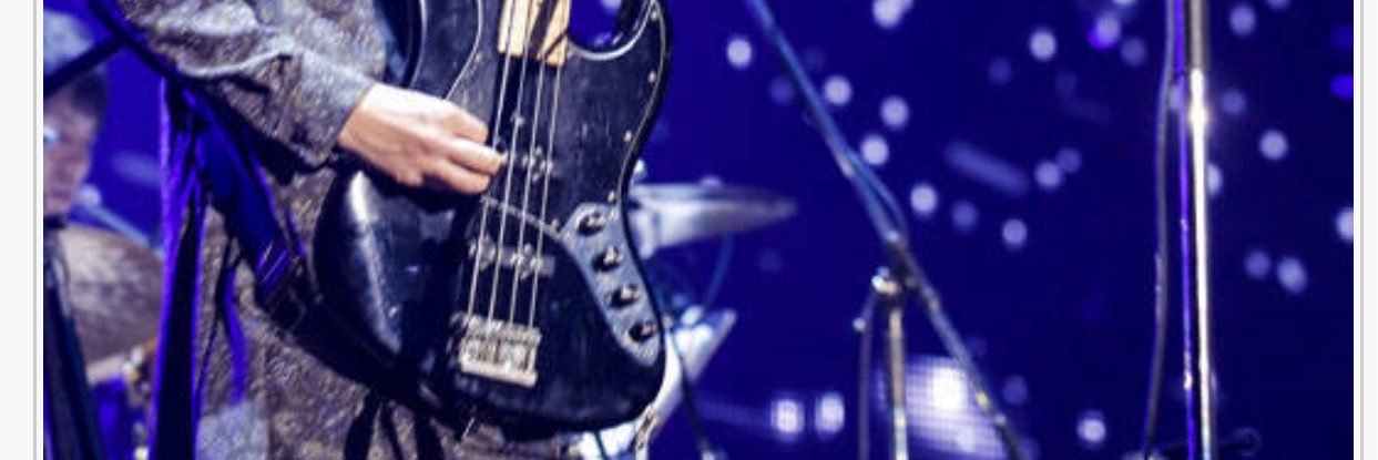 Risa banner