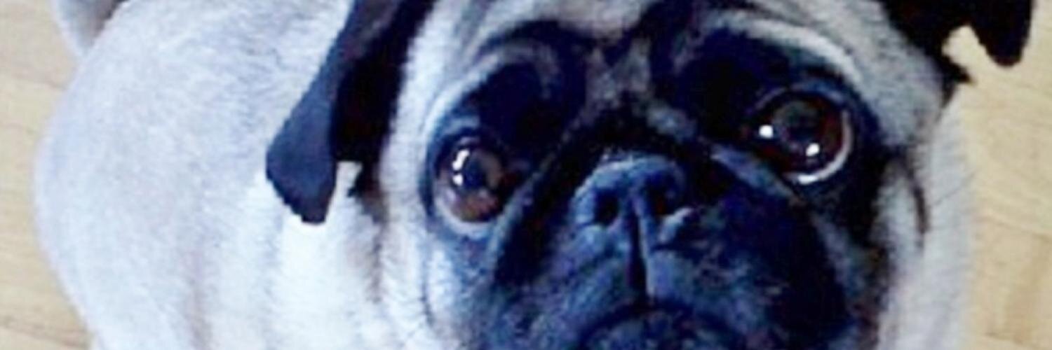 MingoochsDad's profile banner image