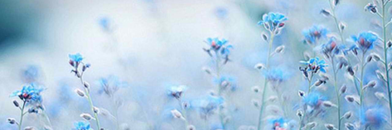 NinnaaT's profile banner image
