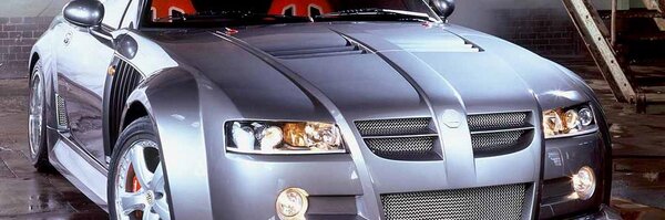 ionglous Profile Banner