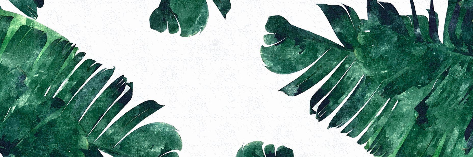 ohheysofie's profile banner image