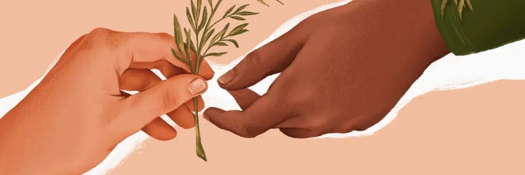 tatianabol's profile banner image